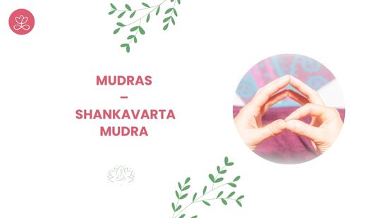 12. Mudras – Shankavarta Mudra avec Stéphanie Rougié